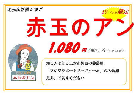 たまご(赤玉のアン)※土日限定10パック